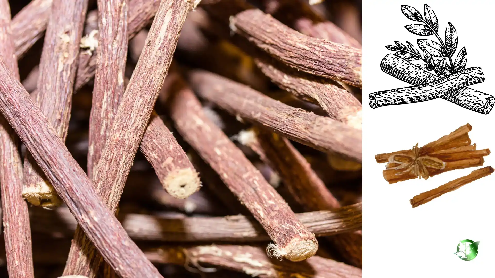 Licorice Root quality, format, and packaging should be matched to the buyer’s target application.